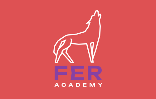 FER ACADEMY